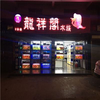 網上買龍魚好還是實體店好：網上購買龍魚和實體店購買各有優缺點各有優缺點