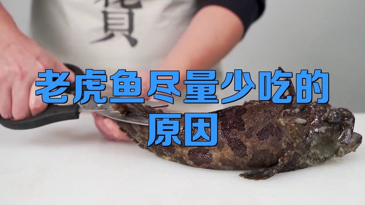 老虎魚盡量少吃的原因