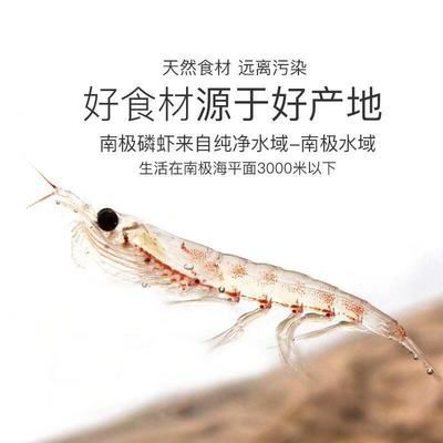銀龍魚不吃南極磷蝦（銀龍魚可以吃南極磷蝦嗎？）