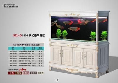 龍魚(yú)缸怎么選：張國(guó)煒博士張國(guó)煒博士張國(guó)煒博士張國(guó)煒博士張國(guó)煒博士
