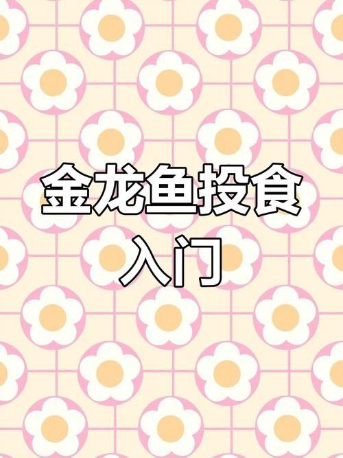 哪些食物適合用來訓練金龍魚？
