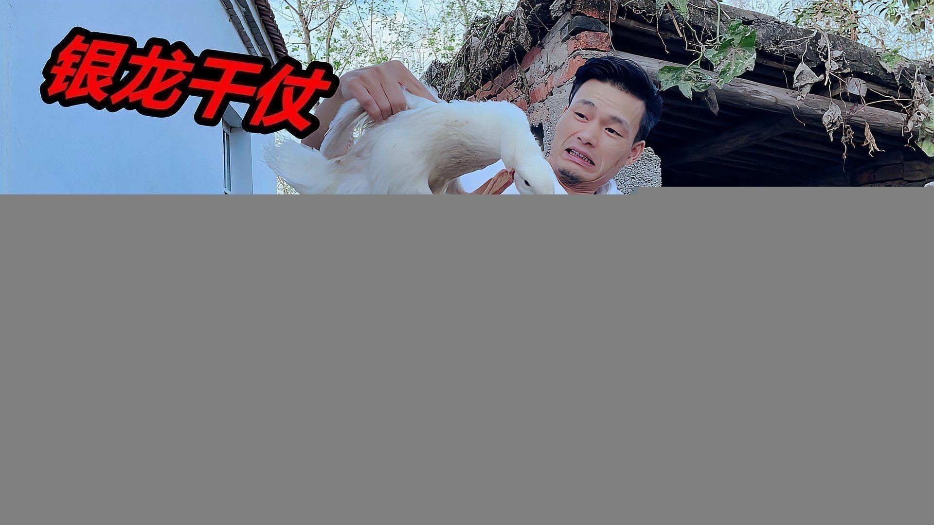 過背銀龍魚圖片大全大圖欣賞