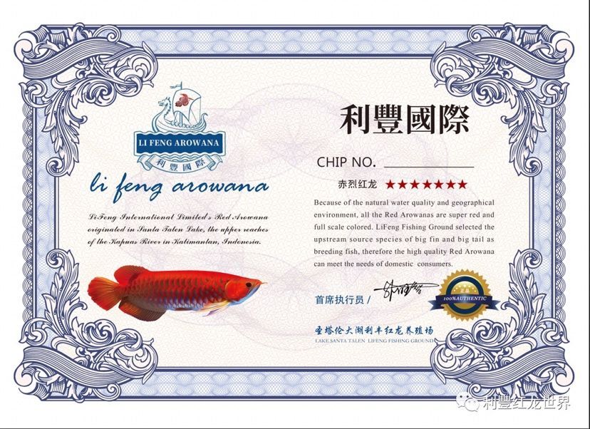 龍魚證書什么樣（關于龍魚證書的一些詳細信息）