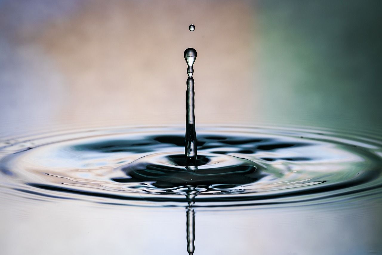 紅龍魚配什么魚一起養比較好：紅龍魚配什么魚一起養比較好看