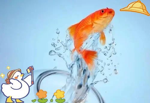 金魚要死的征兆