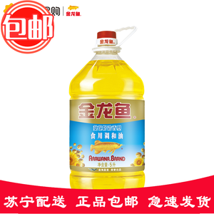 龍魚怎樣養：養龍魚的注意事項