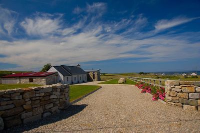 怎么鑒別紅龍魚血統（如何鑒別紅龍魚的血統）