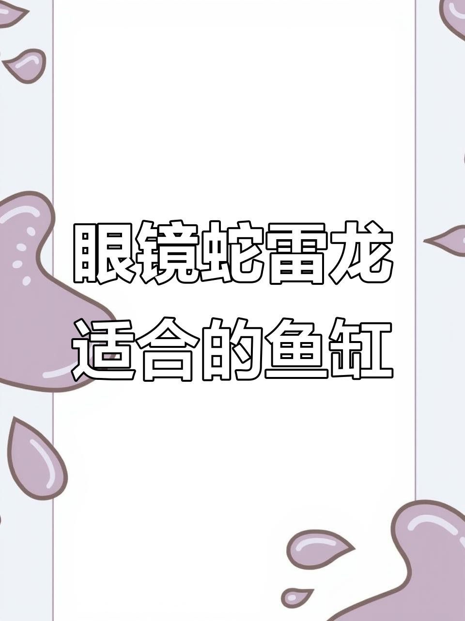 雷龍魚需要多大的魚缸？