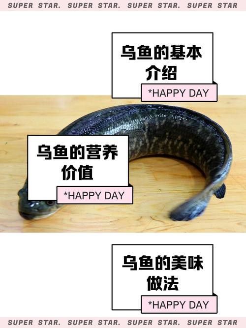 烏魚跟龍魚的區別是什么呢