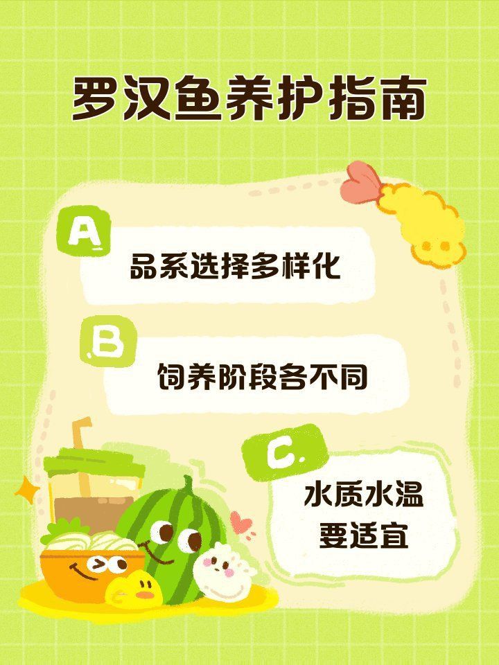 羅漢魚進(jìn)貨最忌三種蔬菜