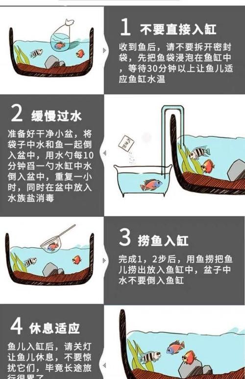 龍魚平時喂養什么飼料好