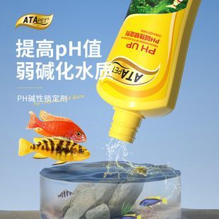 如何調節水族箱酸堿度：如何調節水族箱的酸堿度