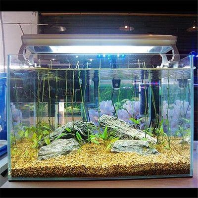 玻璃魚缸多少錢一個，超白玻璃魚缸品牌對比及推薦如何辨別魚缸質量魚缸定制服務流程