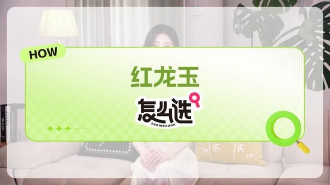 紅龍裝飾品有哪些材質選擇？ 紅龍裝飾品有哪些材質選擇？ 龍魚百科 第2張