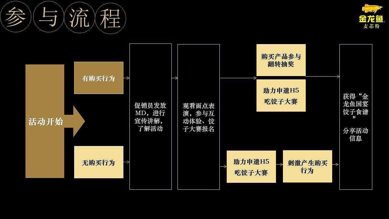 購買金龍魚的基本步驟和建議：如何挑選金龍魚