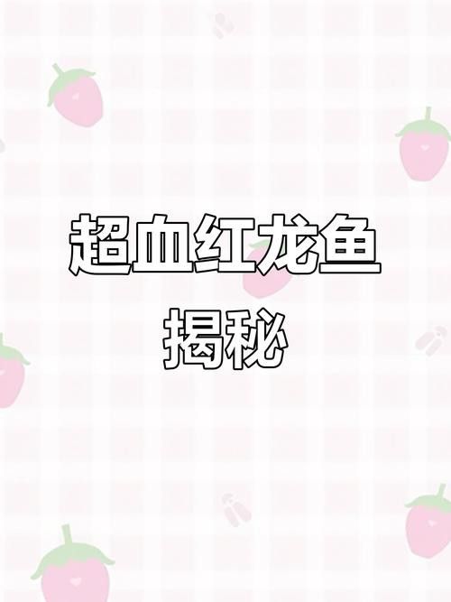 紅龍魚如何挑選品種圖片