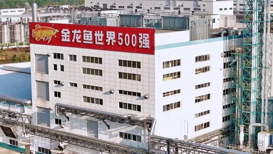 金龍魚是哪個國家合資的