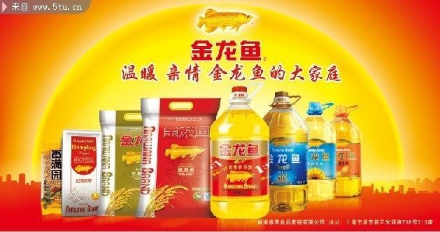 金龍魚宣傳海報設計理念（金龍魚宣傳海報的設計理念）