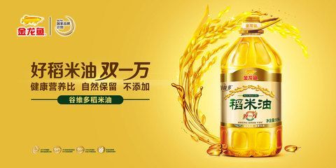 金龍魚宣傳海報設計理念（金龍魚宣傳海報的設計理念）