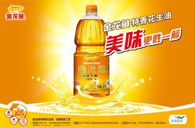 金龍魚宣傳海報設計理念（金龍魚宣傳海報的設計理念）