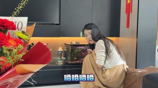 銀龍魚造景缸圖片大全