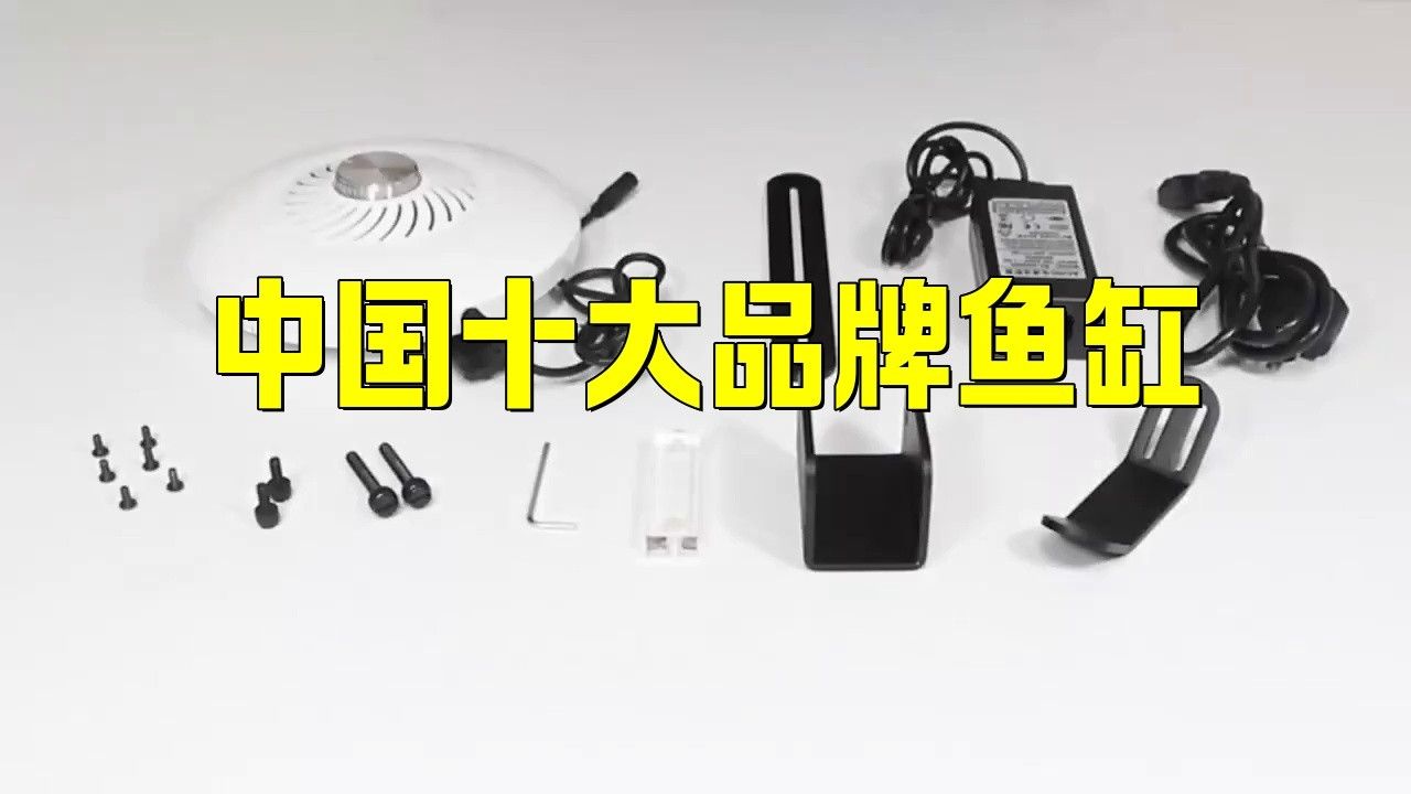 銀龍魚造景缸圖片大全