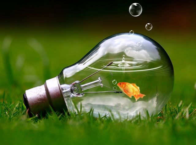 龍魚濾材推薦：龍魚濾材哪個牌子好用又便宜？精選高性價比品牌推薦