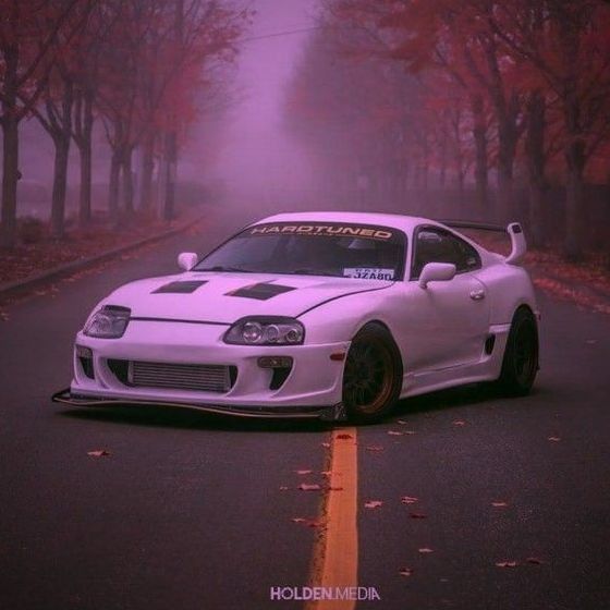 龍魚背上黑垢怎么去除掉