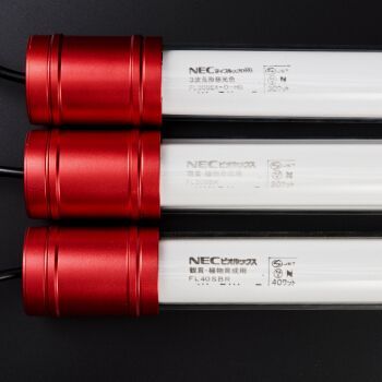 龍魚用三基色燈管可以嗎：龍魚使用三基色燈管