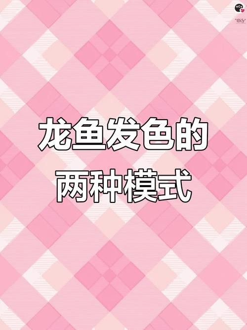 紅龍魚上色過程圖片欣賞