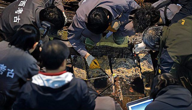 金頭古龍的保護現狀