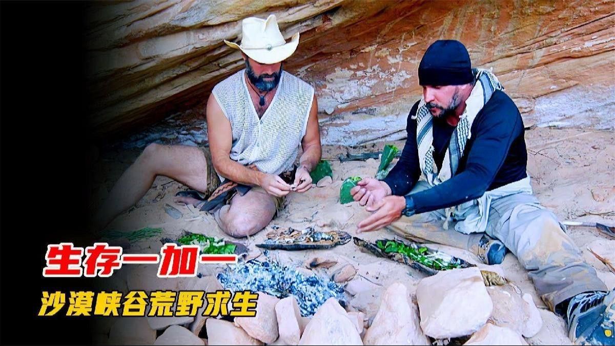 如何觀看這些紀錄片？