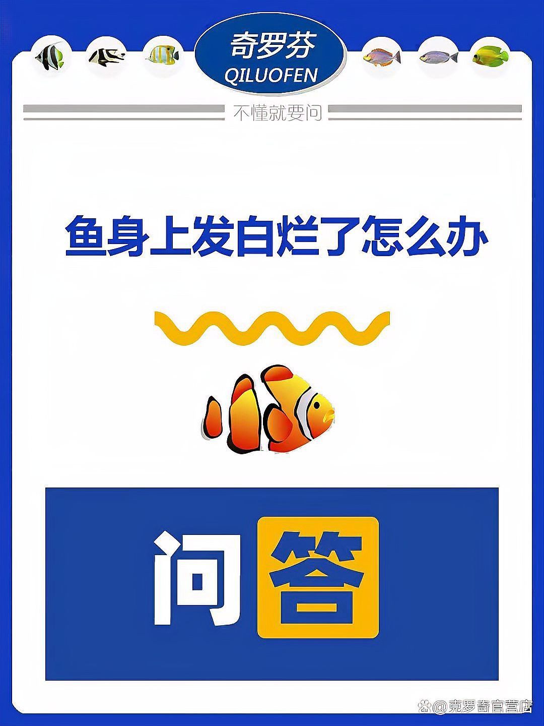 龍魚身體潰爛會傳染嗎？