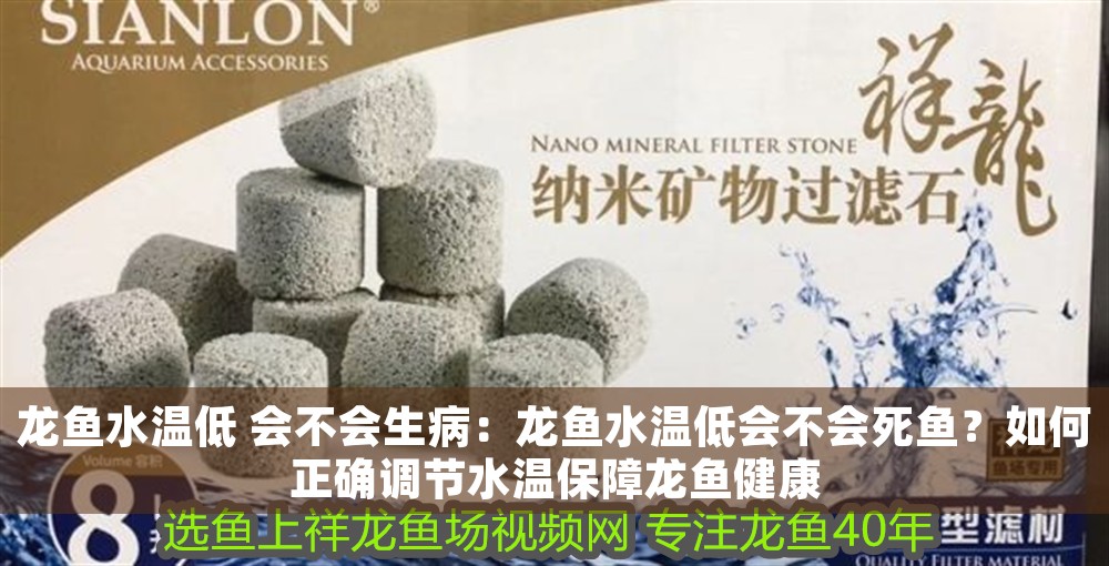 龍魚水溫低 會不會生病：龍魚水溫低會不會死魚？如何正確調節水溫保障龍魚健康