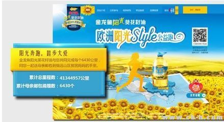 金龍魚營銷策劃方案模板（金龍魚營銷策劃）