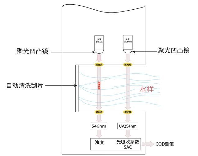 如何預(yù)防六角龍魚白斑病？