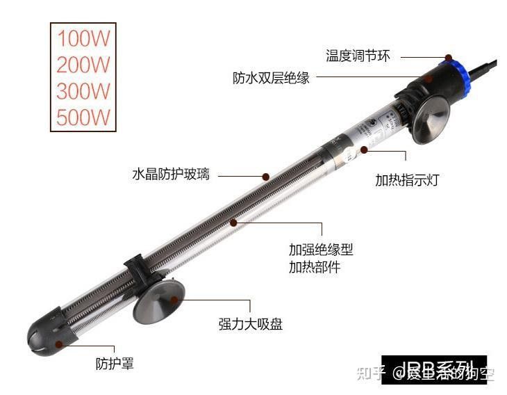 如何預(yù)防六角龍魚白斑病？