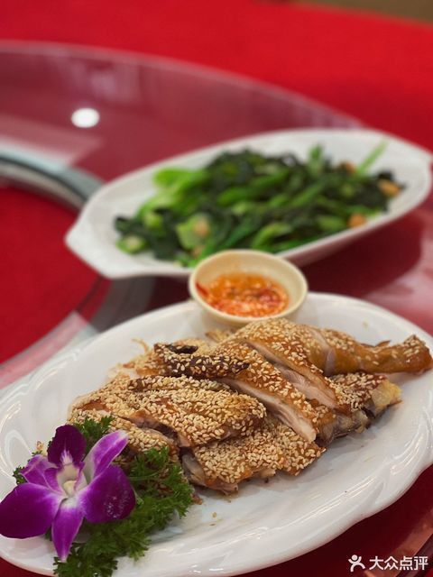 汕尾龍魚專賣店