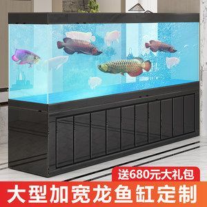 龍魚碰魚缸底部（龍魚碰魚缸底部可能由多種因素引起龍魚游到魚缸底部）