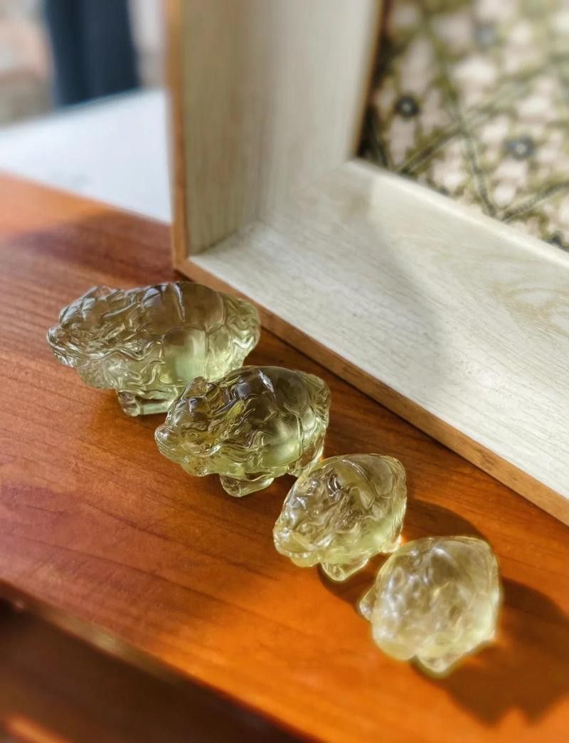 龍龜多久清潔一次？