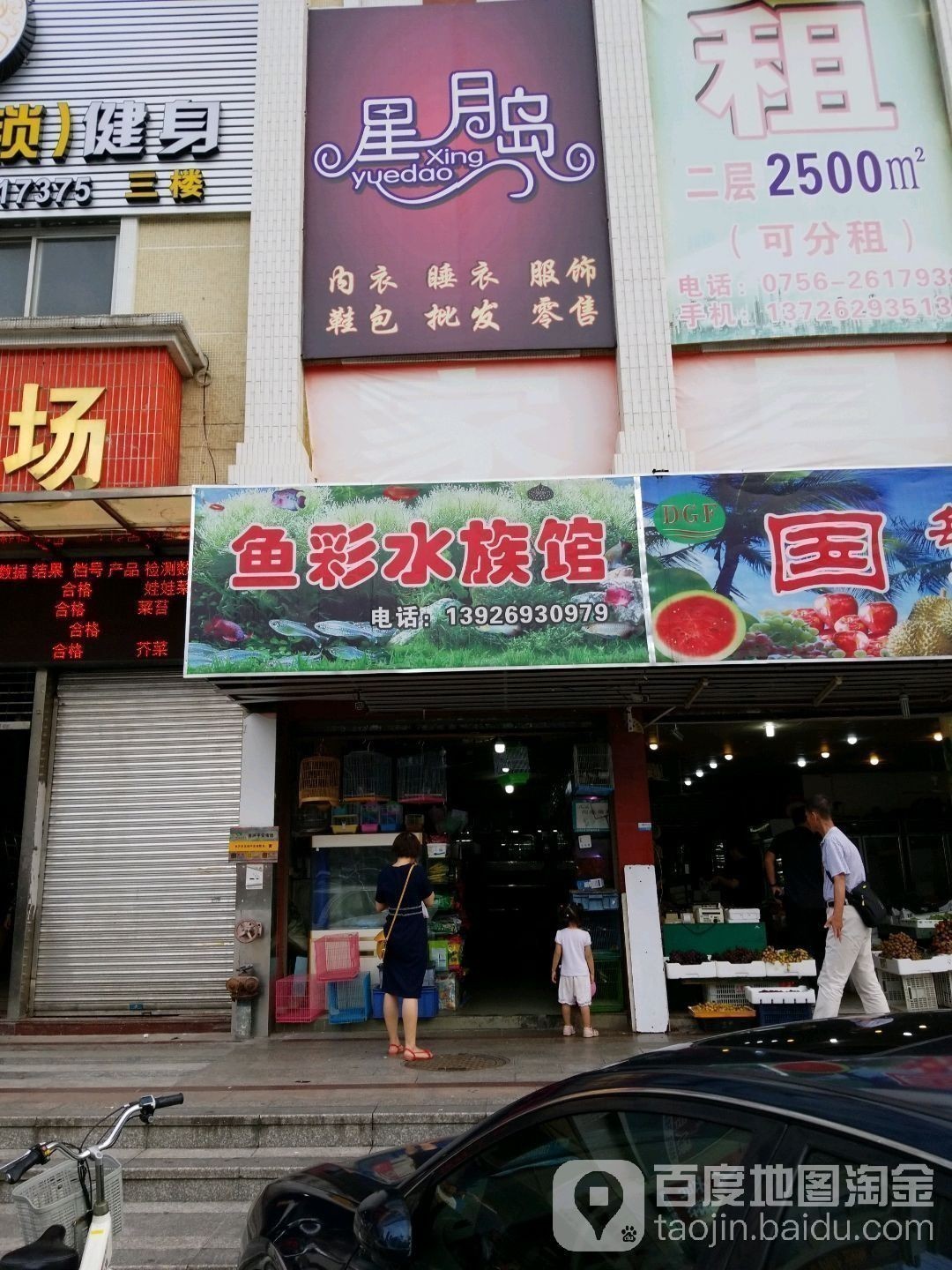 珠海魚缸 龍魚世家水族館認真