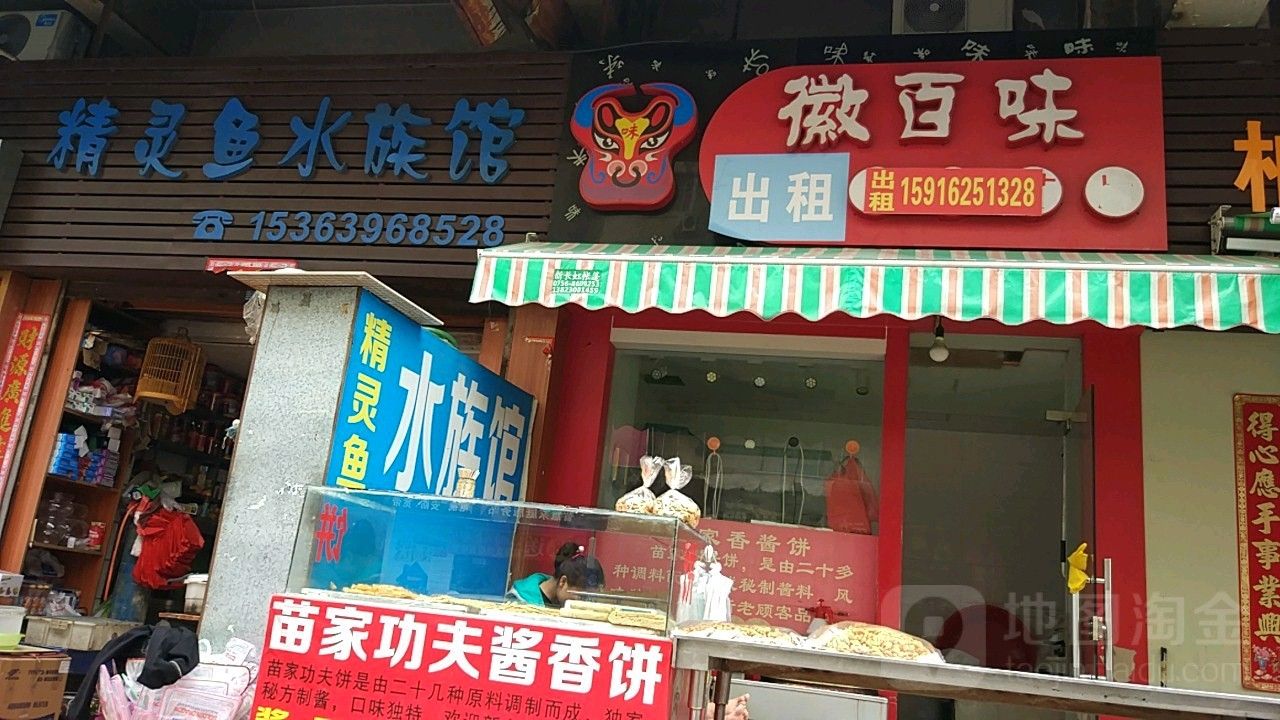 珠海魚缸 龍魚世家水族館認真