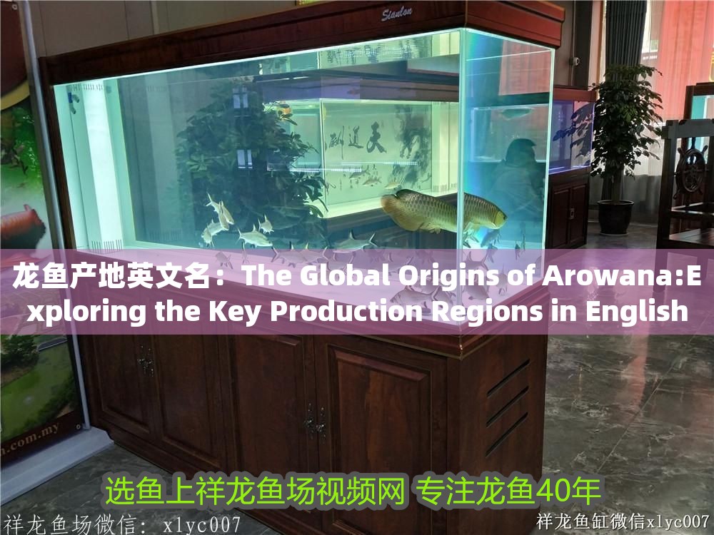 龍魚產(chǎn)地英文名：The Global Origins of Arowana:Exploring the Key Production Regions in English