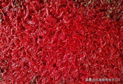 龍魚產(chǎn)地英文名：The Global Origins of Arowana:Exploring the Key Production Regions in English