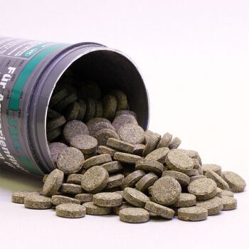 龍魚缸可以種水草嗎視頻：龍魚缸可以種水草嗎？揭秘水草與龍魚的共存之道