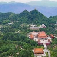 錦鯉魚養(yǎng)幾條最好最招財(cái)