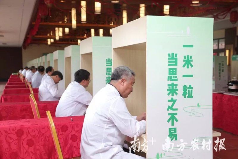 怎么看金龍魚血統真假