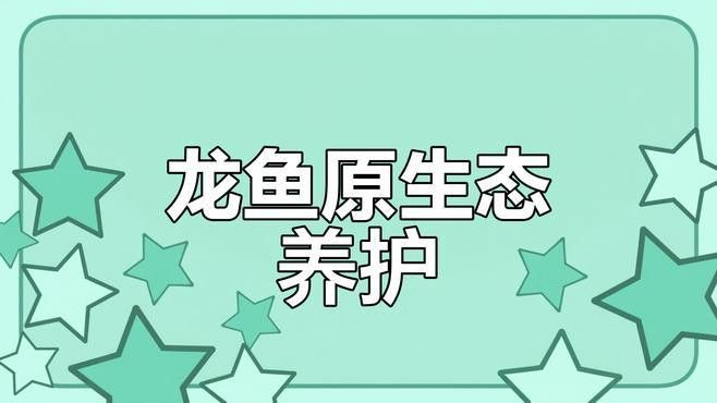 軟礦石塘泥養(yǎng)龍魚