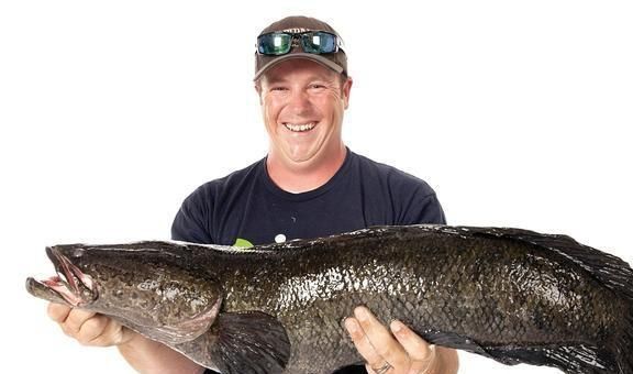 龍魚和黑魚哪個(gè)厲害些：探討龍魚和黑魚哪個(gè)更厲害之前我們需要了解它們各自的生態(tài)習(xí)性