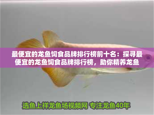 龍魚最好吃十大品牌